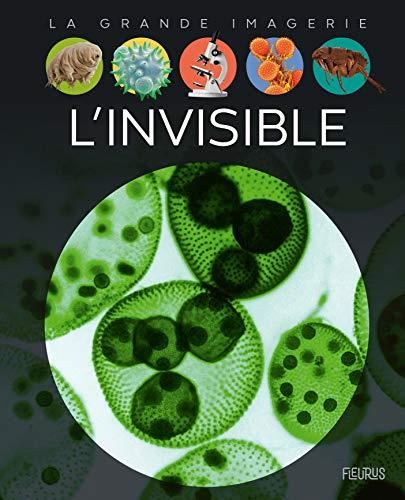 L'Invisible